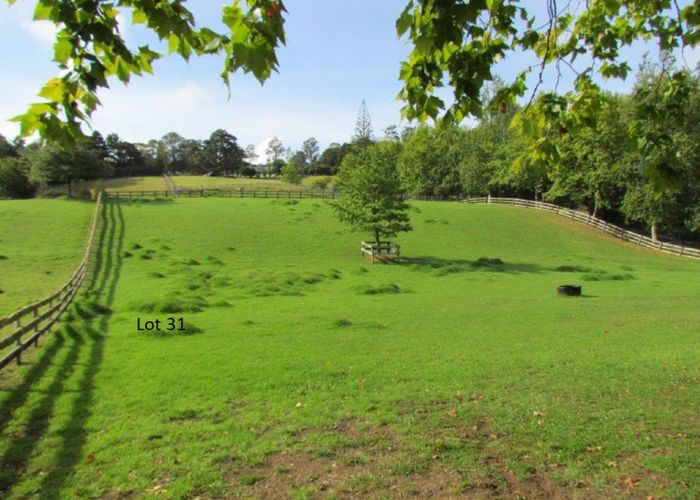  at 22 Plane Tree Lane Lane, RUATANGATA WEST