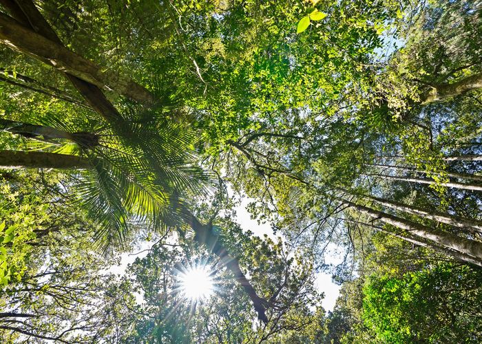  at 31 Waitorupai Way, Matapouri, Whangarei, Northland