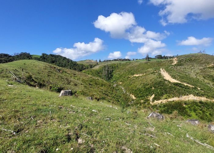  at 1104 Tapuhi Road, Hikurangi, Whangarei, Northland