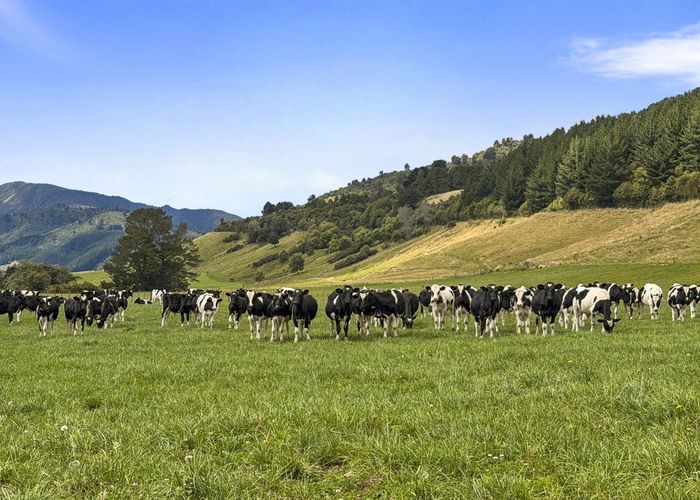  at 1 Takapari Road, Pohangina, Manawatu, Manawatu / Whanganui