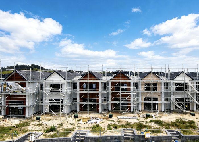  at 66 Dendro Ring Road, Milldale, Rodney, Auckland