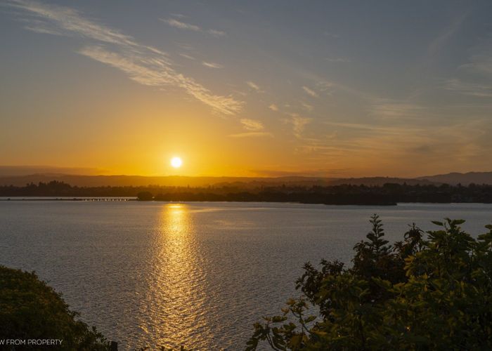  at 446 Maungatapu Road, Maungatapu, Tauranga, Bay Of Plenty