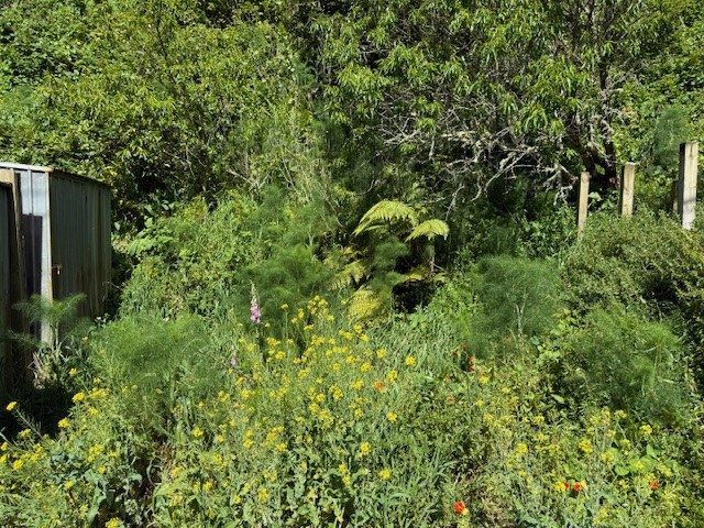  at 45A Holloway Road, Aro Valley, Wellington, Wellington