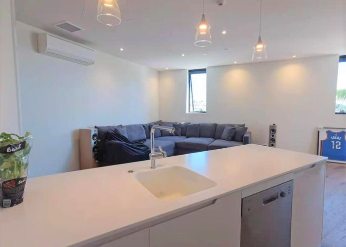  at 306 (Rent Negotiable)/223A Green Lane West, Epsom, Auckland City, Auckland