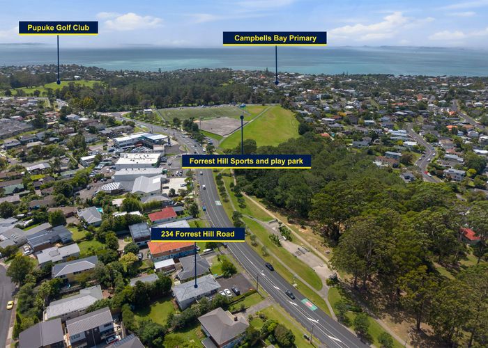  at 234 Forrest Hill Road, Forrest Hill, North Shore City, Auckland