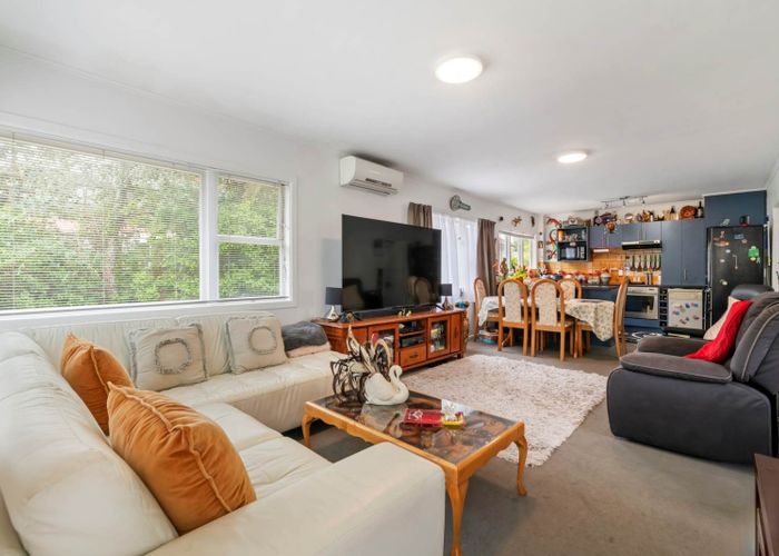  at 66B Queenstown Road, Hillsborough, Auckland City, Auckland