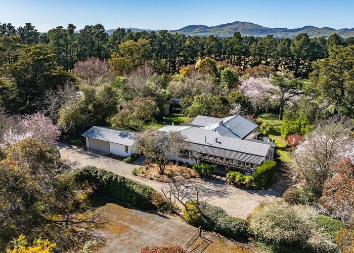  at 328 Purchas Road, Amberley, Hurunui, Canterbury