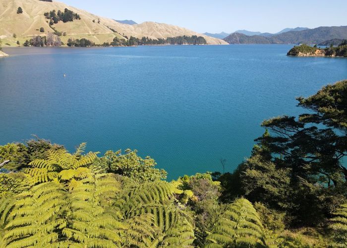  at 486 Cissy Bay Road, French Pass