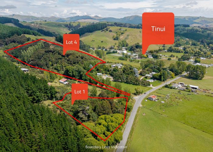  at Lot 1, 4107 Masterton Castlepoint Road, Masterton, Masterton, Wellington