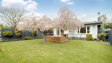  at 1113 Outram Road, Akina, Hastings