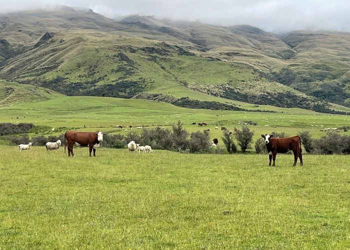  at 49 Top Road, Middlemarch, Dunedin, Otago