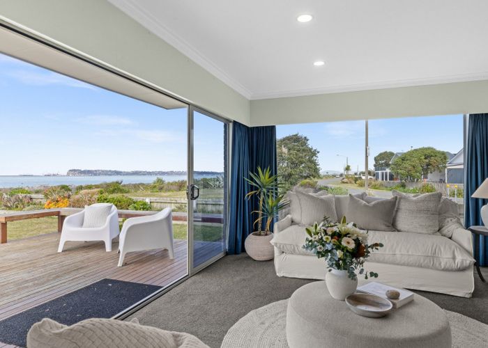  at 49 Ferguson Street, Bay View, Napier, Hawke's Bay