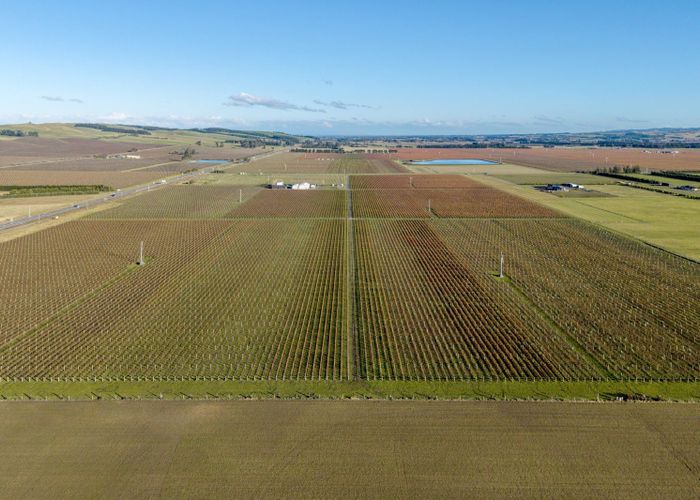  at Purchas Road, Waipara, Hurunui, Canterbury