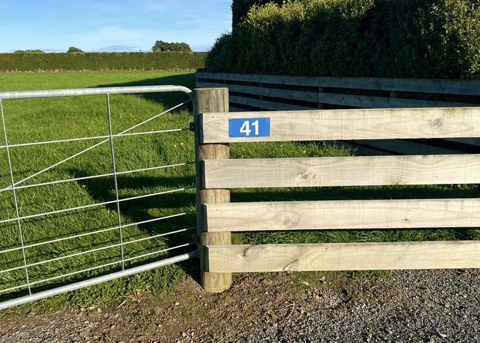  at 41 Billy Way, West Plains, Invercargill, Southland
