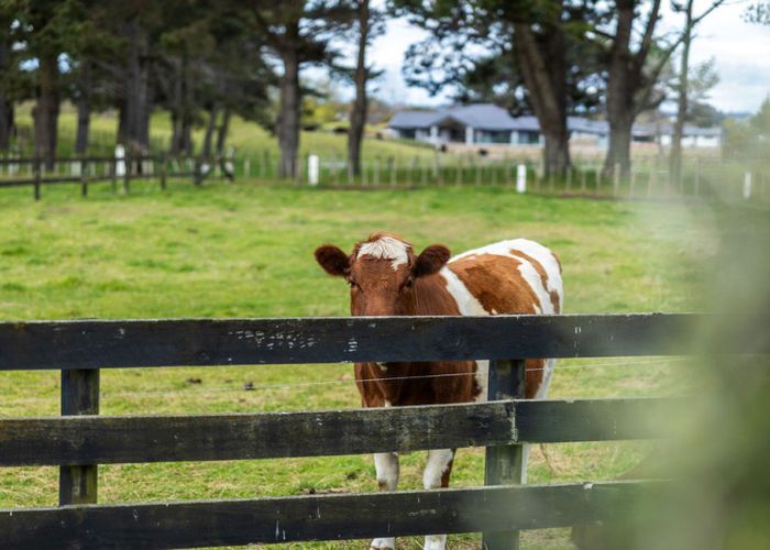  at 21 Glenn Street, Castlecliff, Whanganui, Manawatu / Whanganui