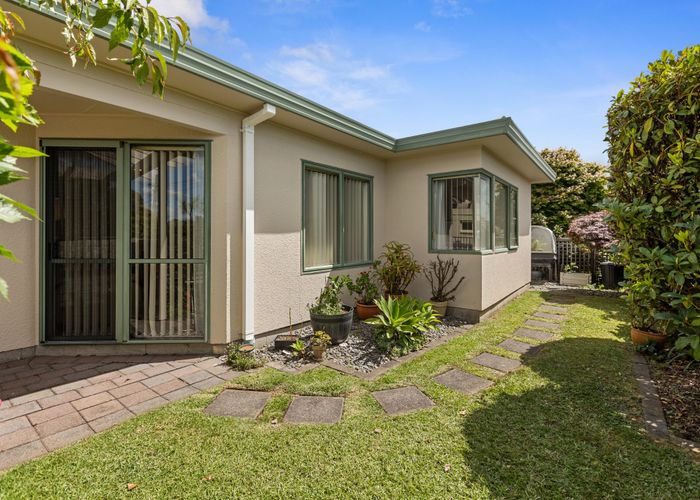  at 16A Wickham Place, Hairini, Tauranga, Bay Of Plenty