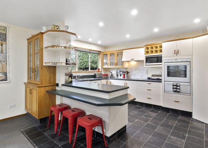  at 16 Ribbonwood Close, Normanby, Dunedin