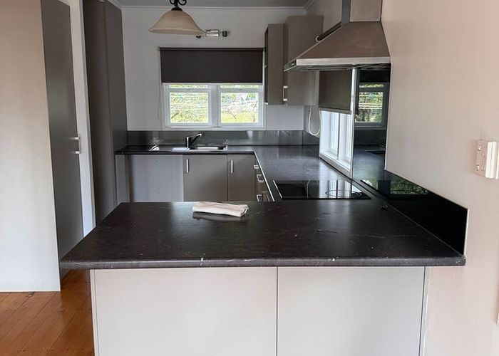  at 45 Fife Street, Westmere, Auckland City, Auckland