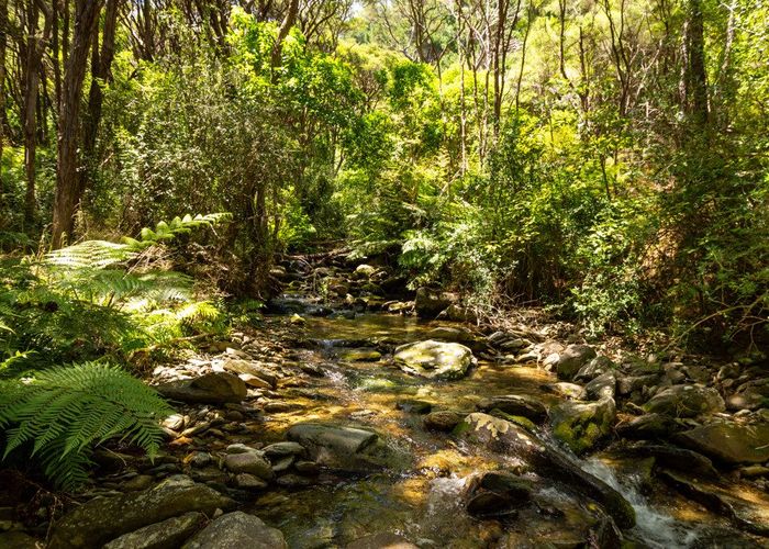 For sale 0 Clova Bay Road, Marlborough Sounds, Marlborough