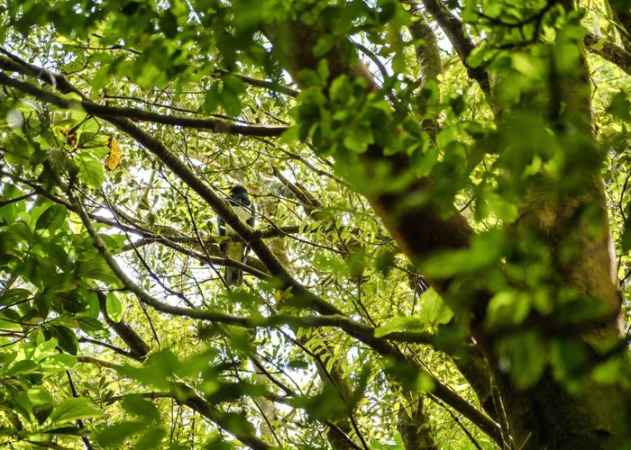  at Lot 3 6A Waiata Road, Te Puna, Western Bay Of Plenty, Bay Of Plenty