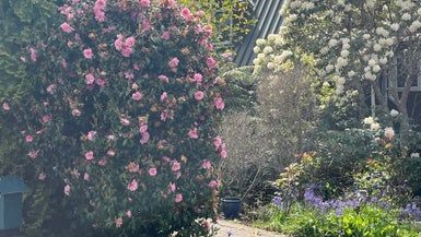  at 48 Glenross Street, Glenross, Dunedin