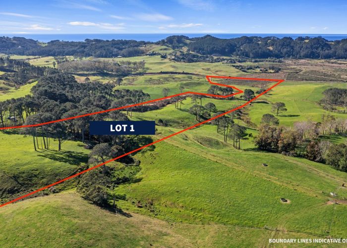  at Lot 1/177 Link Road, Hahei, Thames-Coromandel, Waikato