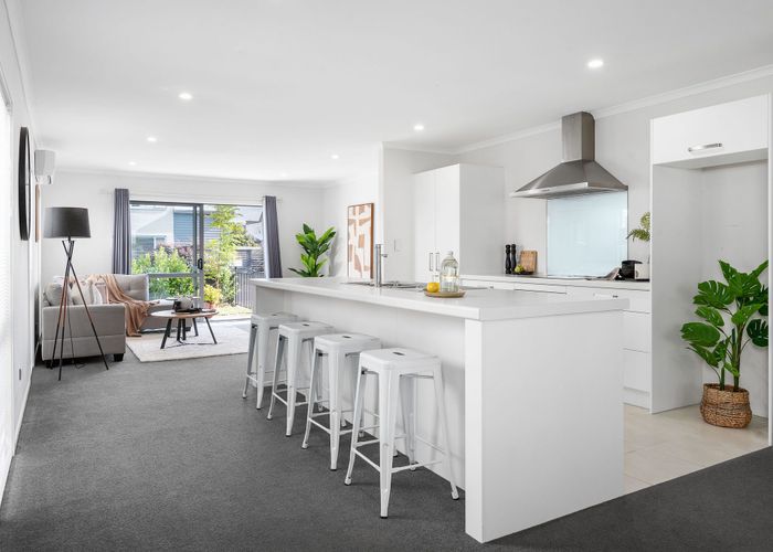  at 19 Anna Jean Crescent, Flagstaff, Hamilton, Waikato