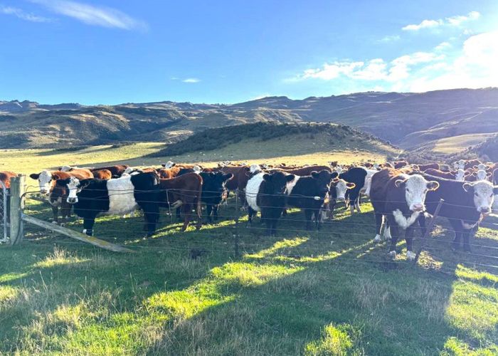  at 49 Top Road, Middlemarch, Dunedin, Otago