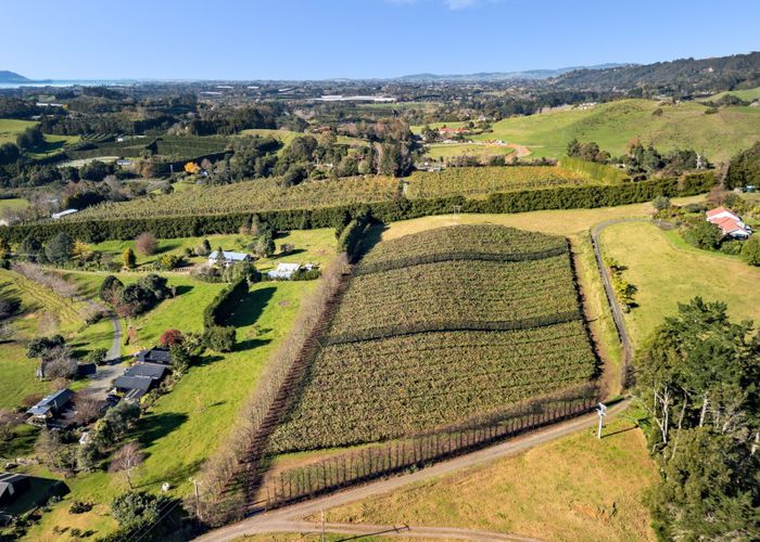  at 400 Old Highway, Whakamarama, Western Bay Of Plenty, Bay Of Plenty
