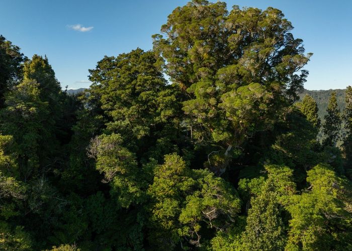  at 3008 Waitotara Valley Road, Waitotara, South Taranaki, Taranaki