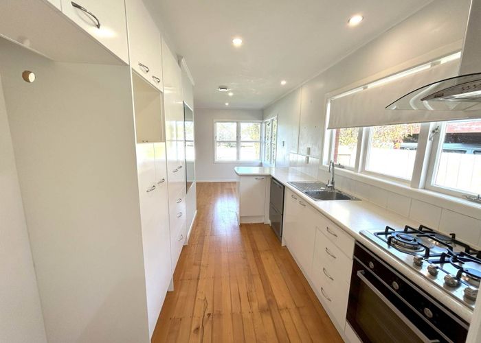  at 14 Fickling Avenue, Mount Roskill, Auckland