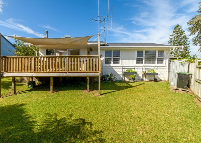  at 25 Laurence Street, Gate Pa, Tauranga