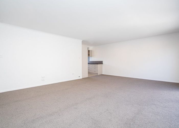  at 219C Peachgrove Road, Claudelands, Hamilton