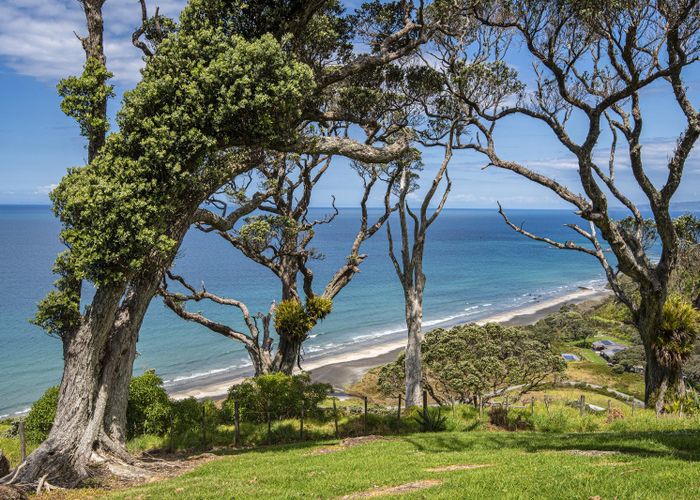  at 21 Tangaroa Road, Mangawhai Heads, Mangawhai
