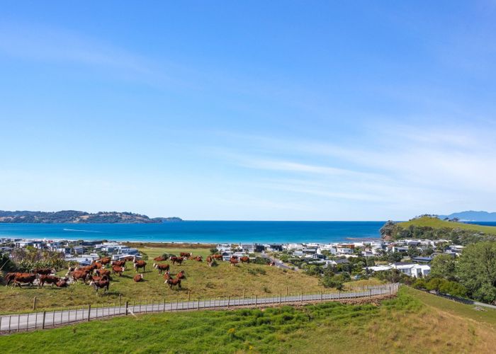  at 231 Mangatawhiri Road, Omaha, Rodney, Auckland