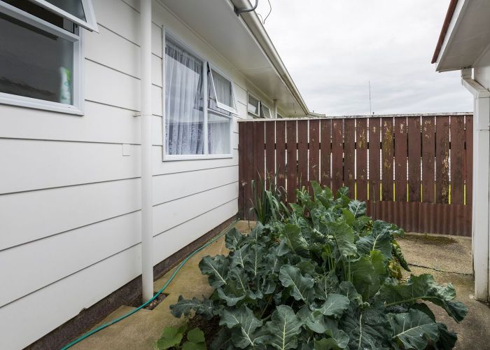  at 24 Monrad Street, Highbury, Palmerston North, Manawatu / Whanganui
