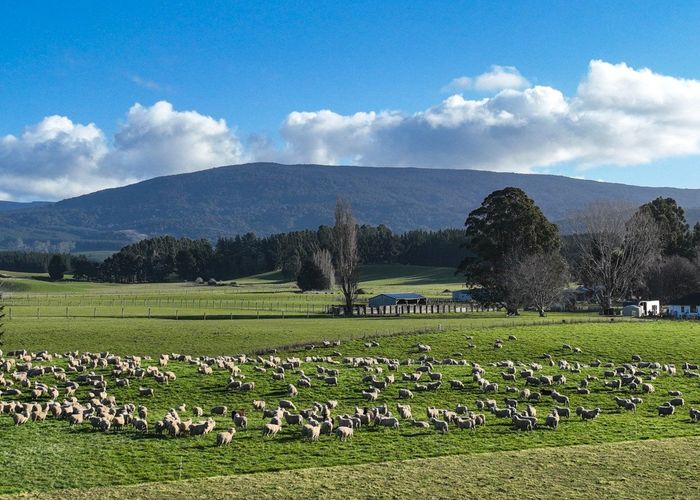  at 177 Otautau Tuatapere Road, Otautau, Southland, Southland