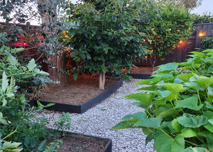  at 164 Tukapa Street, Westown, New Plymouth, Taranaki