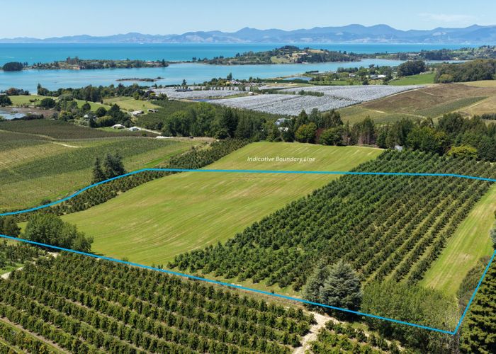  at Lot 1/86 Eden Road, Tasman, Tasman, Nelson / Tasman