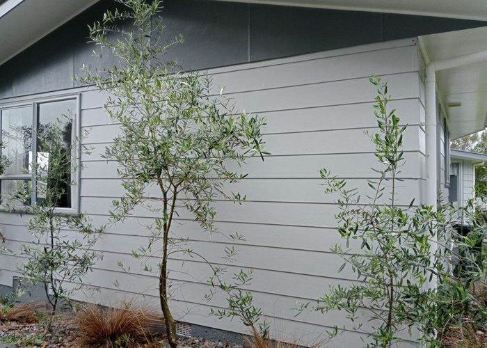  at 18 Thimble Lane, Whitby, Porirua