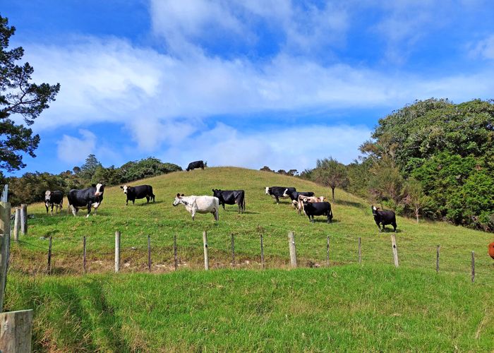  at 0 Tapuhi Road, Hukerenui, Hikurangi