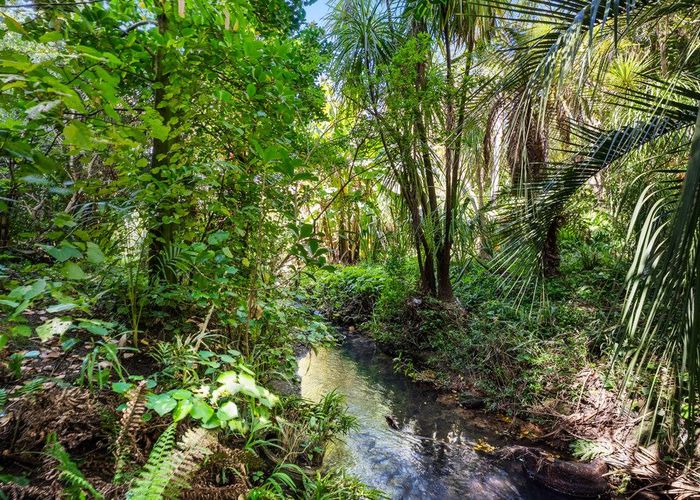  at 41B Athlone Road, Glendowie, Auckland City, Auckland