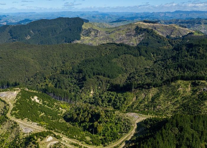  at 0 Bruce Road, Whatatutu, Whatatutu, Gisborne, Gisborne