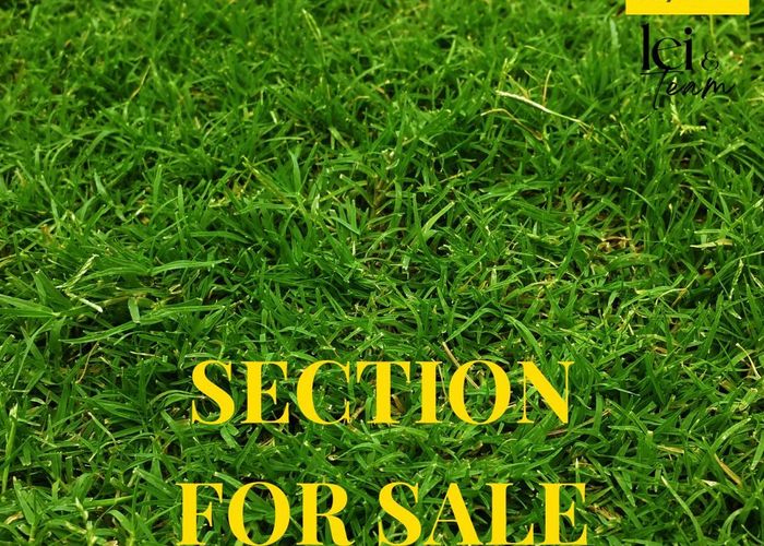 at 31, 29, 12 McMenamin Place, Fairview Heights, North Shore City, Auckland