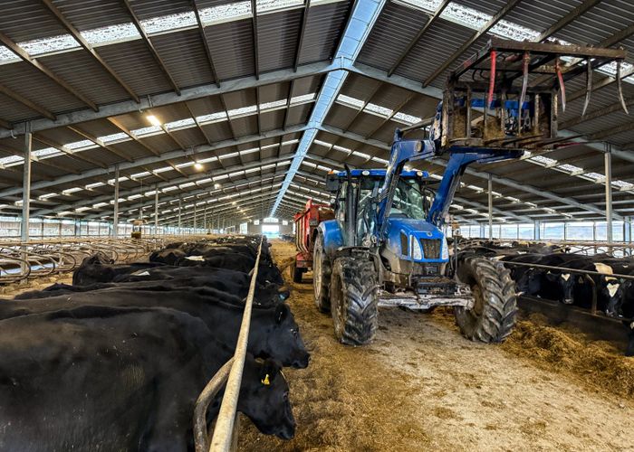 at 374 Winton Channel Road, Dipton West, Southland, Southland