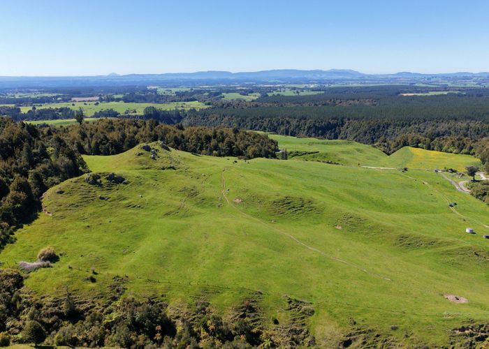  at 869 and 668 Mangatoi Road, Oropi, Western Bay Of Plenty, Bay Of Plenty