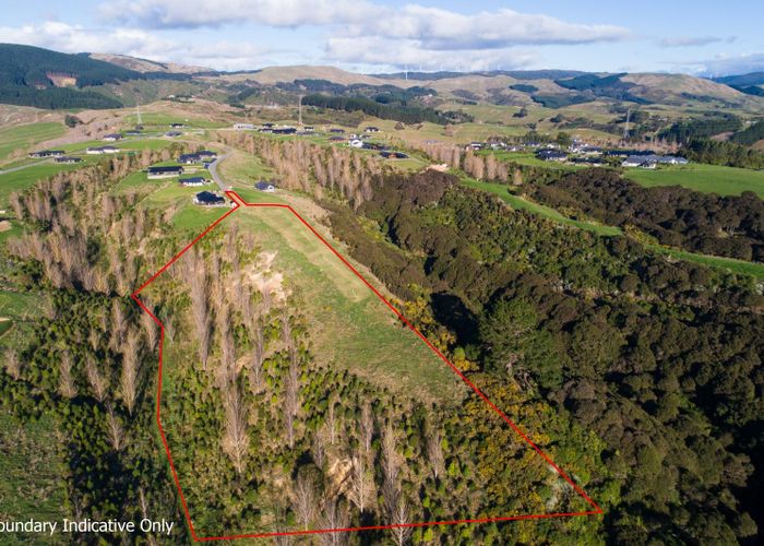  at 17 Chatfield Lane, Aokautere, Palmerston North, Manawatu / Whanganui