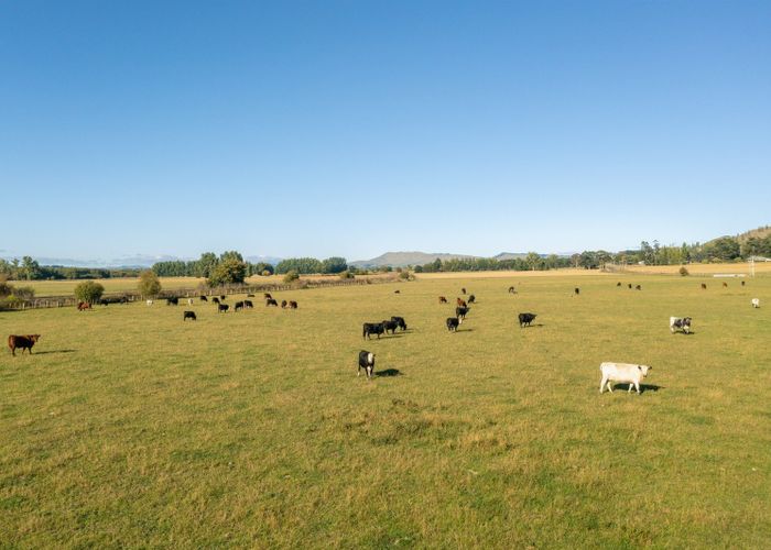  at 169 Hatuma Road, Waipukurau, Central Hawke's Bay, Hawke's Bay