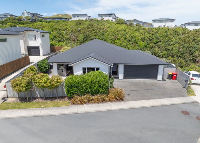  at 15 Belize Grove, Grenada Village, Wellington