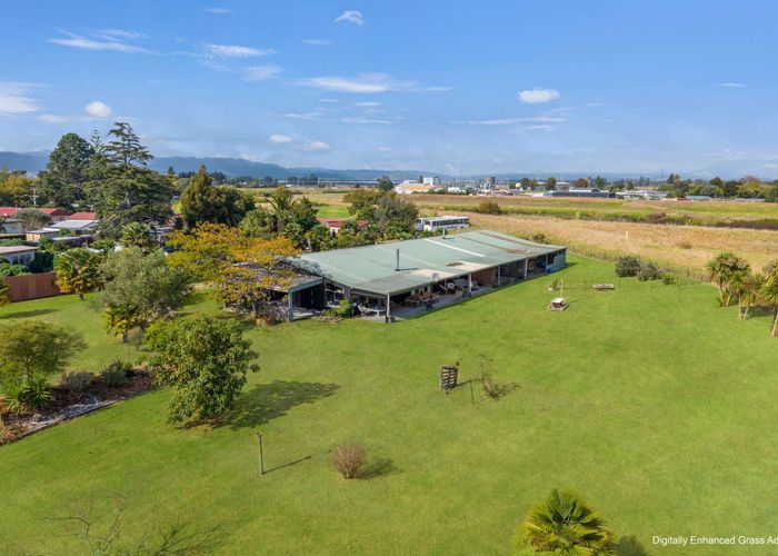  at 6 Nikau Place, Edgecumbe, Whakatane, Bay Of Plenty
